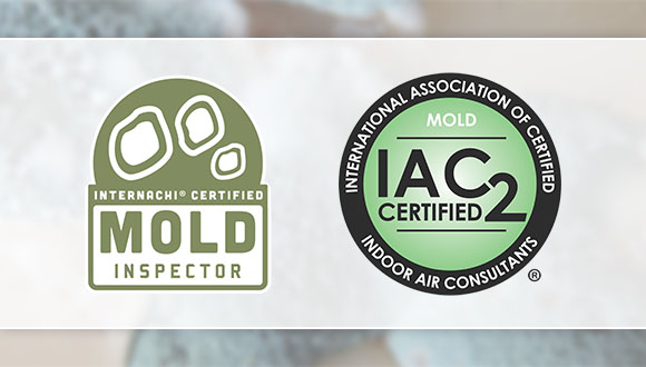 Texas licensed mold assessment/inspection in the Arlington and Forth Worth area